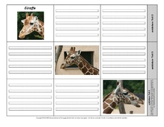 Leporello-Giraffe-5-1-2.pdf